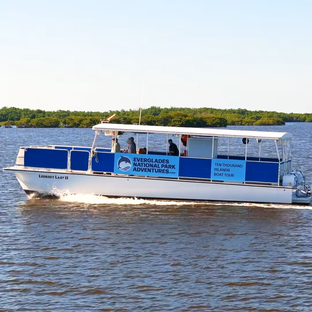 Ten Thousand Islands Boat Tour